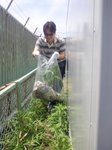 20100509_08.jpg